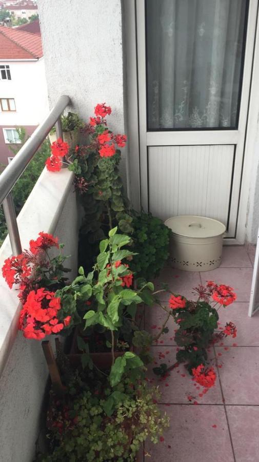 A Single Room in Home, одноместная комната в доме, Chambre simple, Habitación individual Стамбул Екстер'єр фото