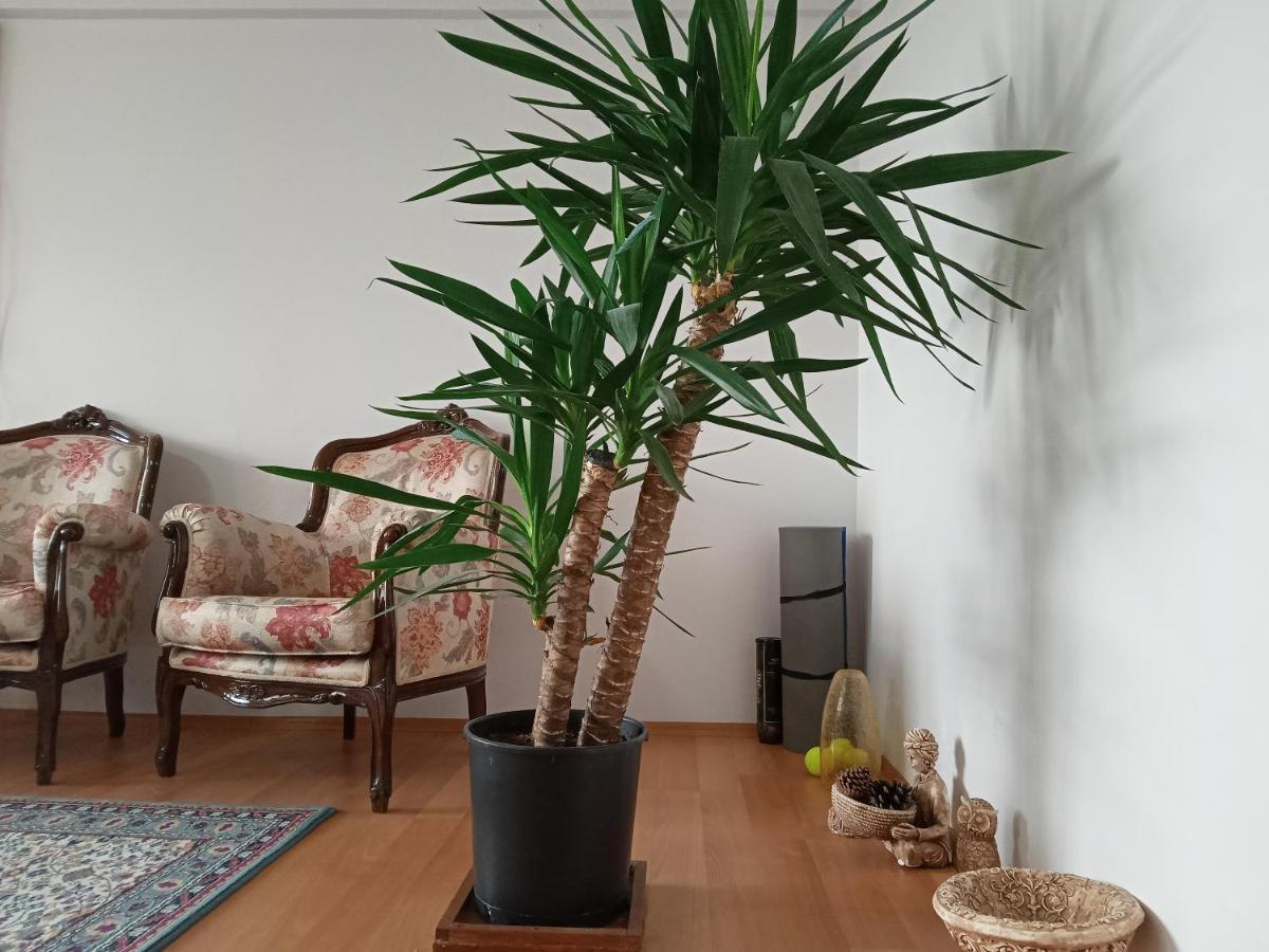 A Single Room in Home, одноместная комната в доме, Chambre simple, Habitación individual Стамбул Екстер'єр фото